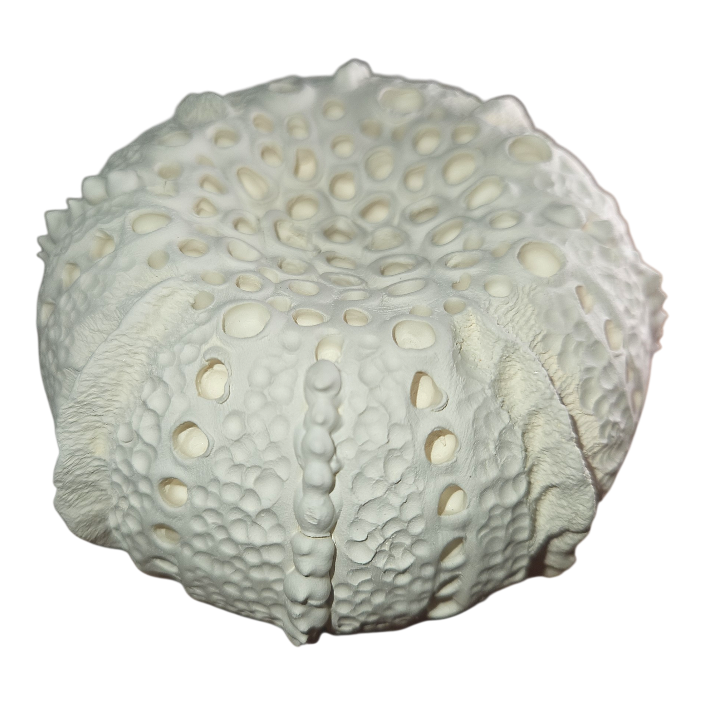 Mojo's Scent Pods - Large