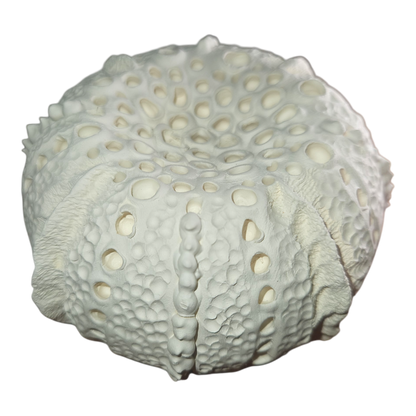 Mojo's Scent Pods - Large